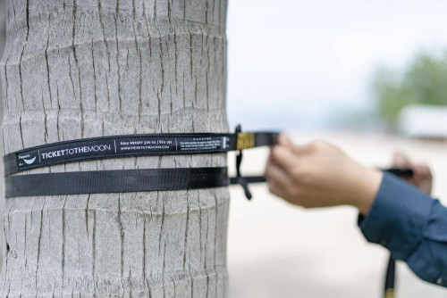 Ticket to Moon Tree friendly Extender