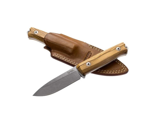 LionSteel B40 UL