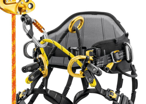 Petzl Bridge