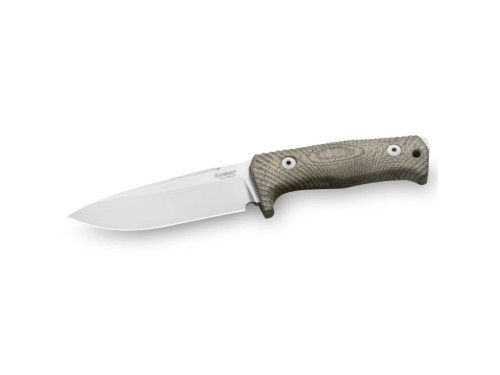 LionSteel T5 CVG