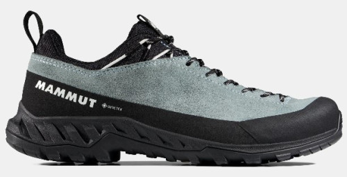Mammut Alnasca IV Low LTH GTX Women