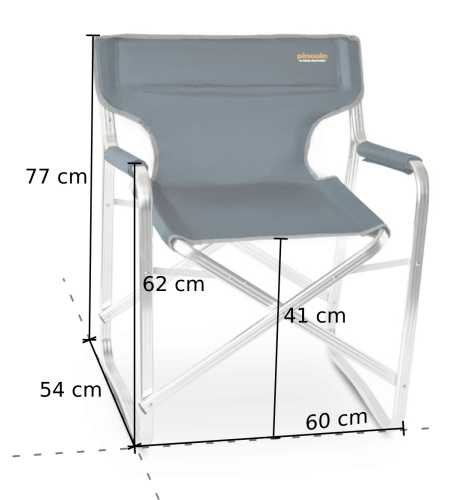 Pinguin Director Chair