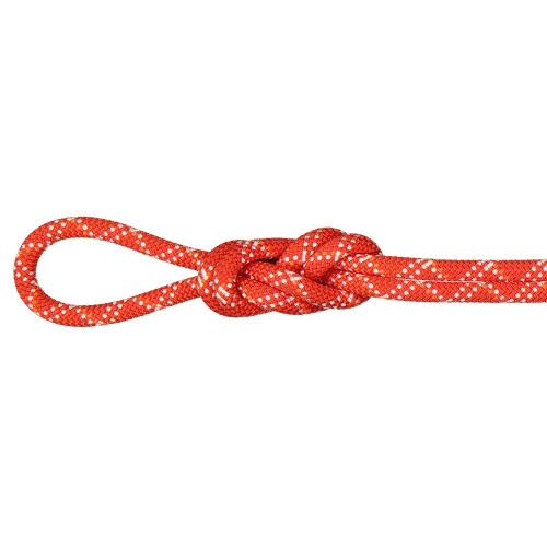 Mammut 9.5 Gym Classic Rope