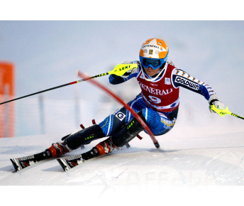 Leki Gate Guard Lite