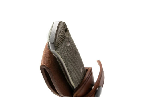 LionSteel B35 CVG