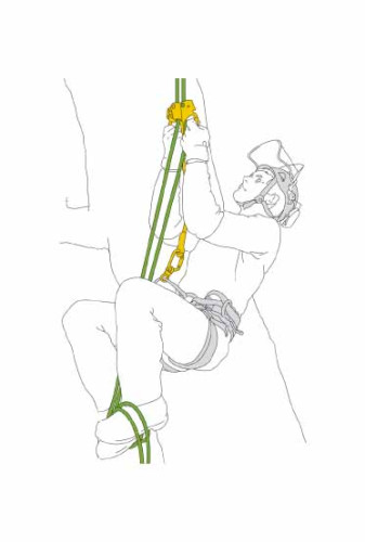 Petzl Ascentree