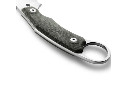 LionSteel H2 CVG