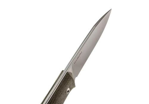 LionSteel B35 CVG