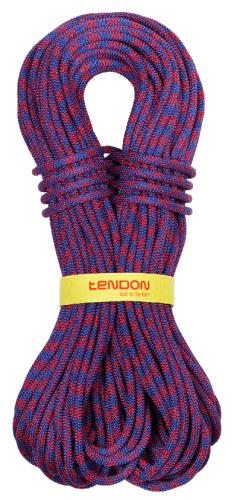 Tendon Ambition 8,5 Complete Shield