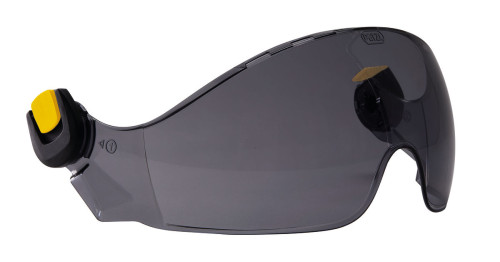 Petzl Vizir