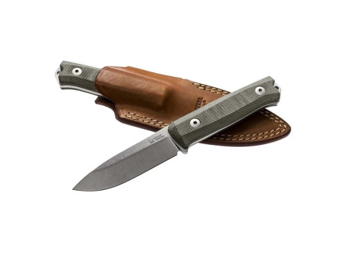 LionSteel B40 CV