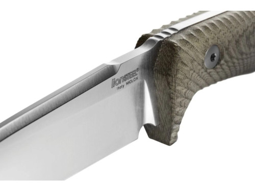 LionSteel T5 CVG