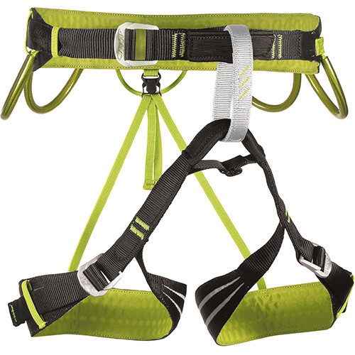 Camp Alpine Flash