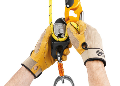Petzl Rig Repairable