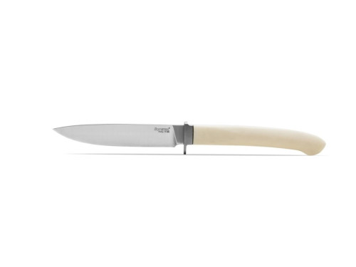 LionSteel AG01 MW
