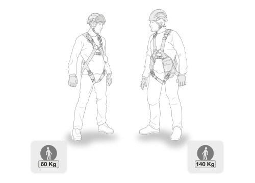 Petzl Absorbica Y