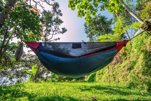 Ticket to Moon Pro Hammock
