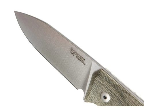 LionSteel B35 CVG