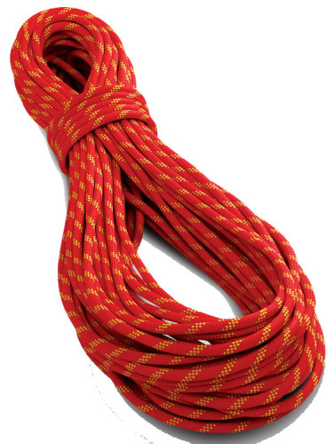 Tendon Static 10,5 Secure