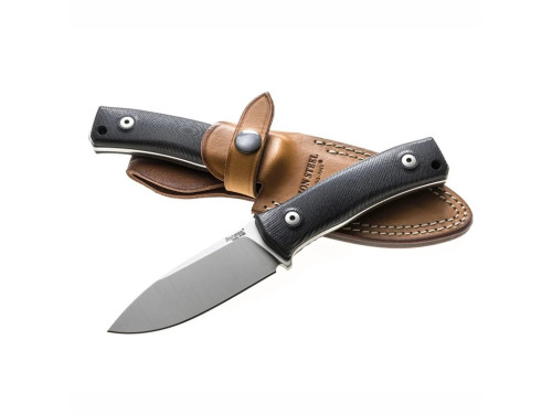 LionSteel M4 G10