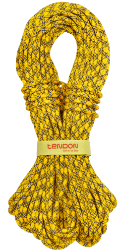 Tendon Ambition 8,5 Complete Shield