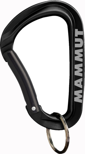 Mammut Mini Carabiner Workhorse Keylock L