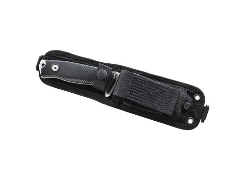 LionSteel M5 G10