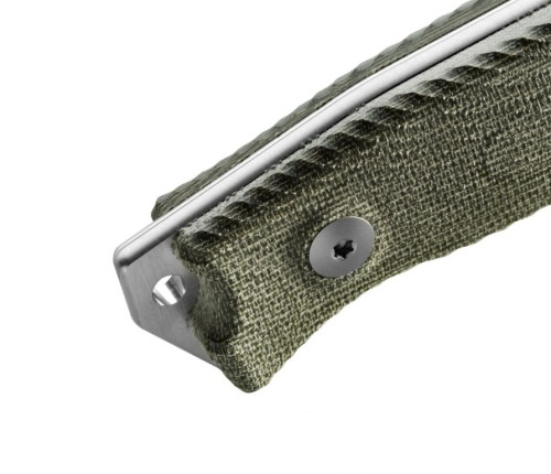LionSteel M5 CVG