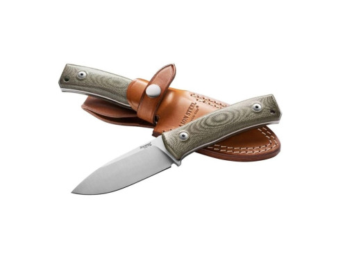 LionSteel M4 CVG