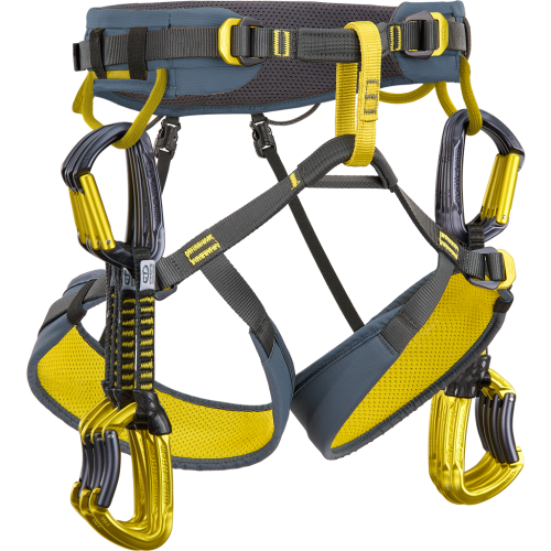 Climbing Technology Wall