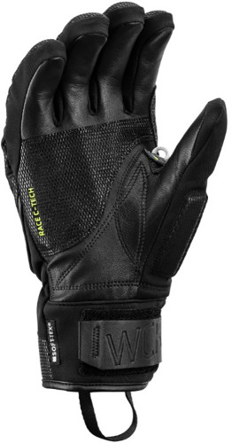 Leki WCR C-Tech 3D