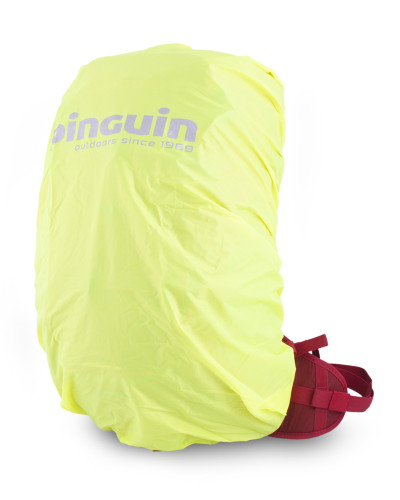 Pinguin Ride 25