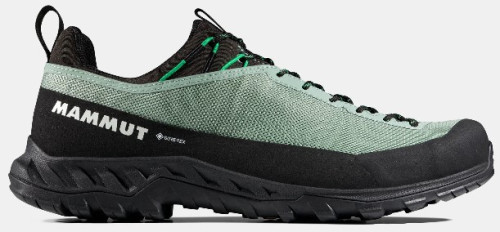 Mammut Alnasca IV Low GTX Men
