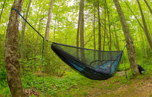 Eno Guardian SL Bug Net
