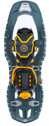 TSL Symbioz Phoenix