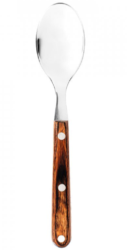 GSI Rakau Table Spoon