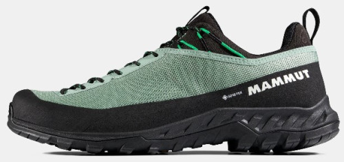 Mammut Alnasca IV Low GTX Men