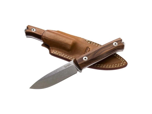 LionSteel B40 ST