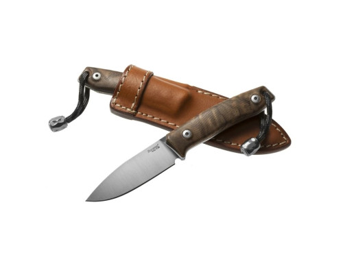 LionSteel M1 WN