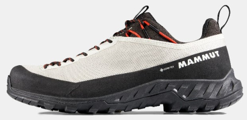 Mammut Alnasca IV Low GTX Women