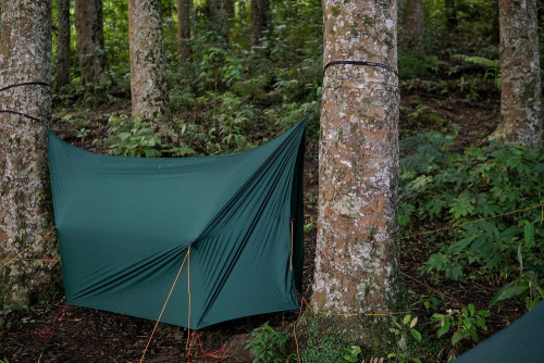 Ticket to Moon Fullmoon Tarp