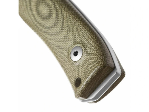 LionSteel M4 CVG