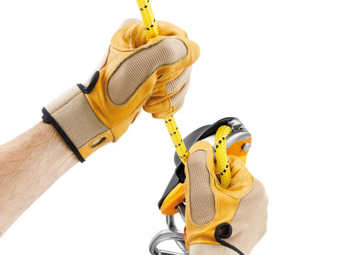 Petzl Rig Repairable