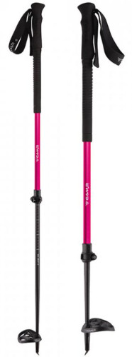 Camp Ski Drop W