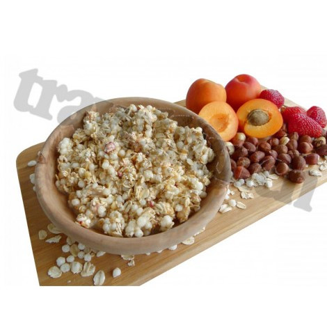 Travellunch Müsli protein Single