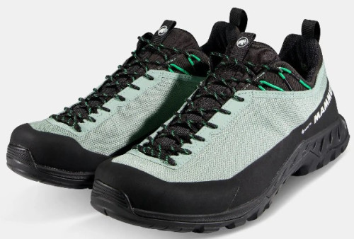 Mammut Alnasca IV Low GTX Men