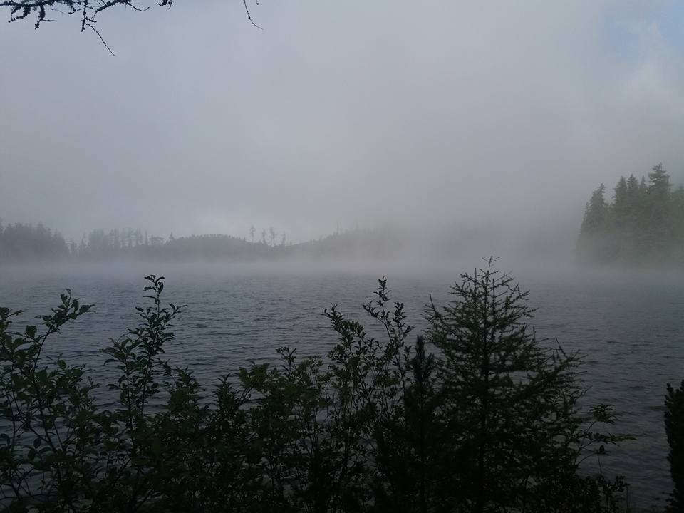 Horské pleso zahalené v mlze, na břehu smrky