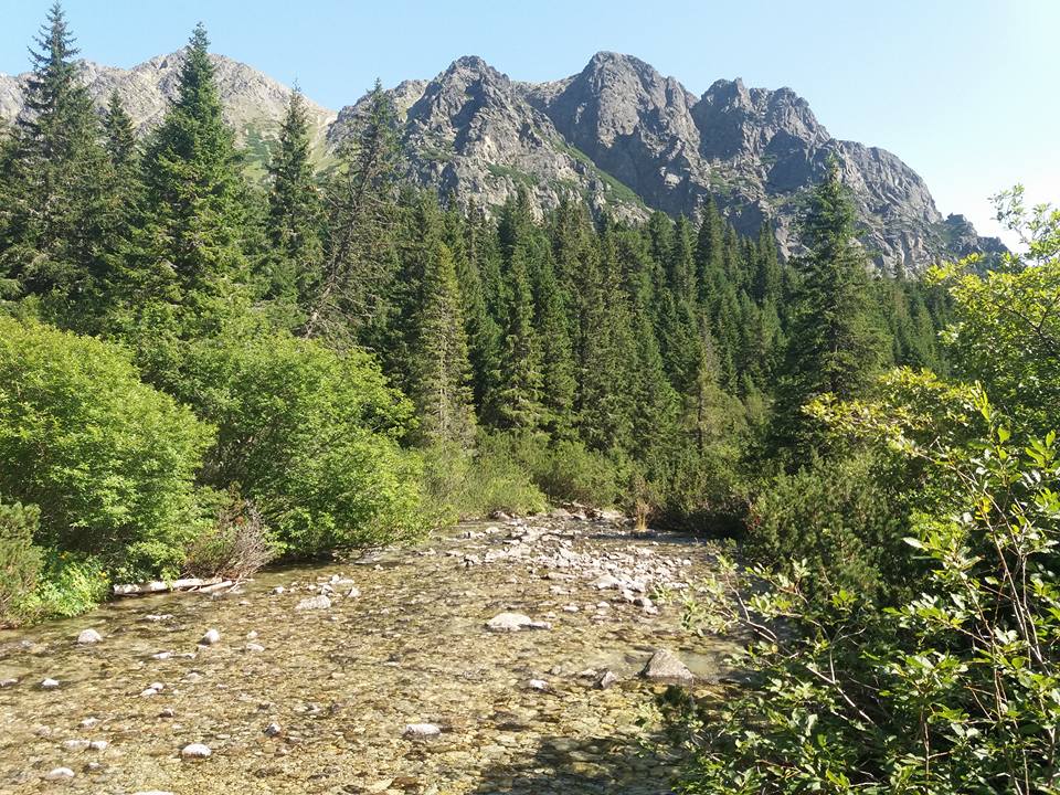 Horský potok v jehličnatém lese pod skalnatými štíty Vysokých Tater