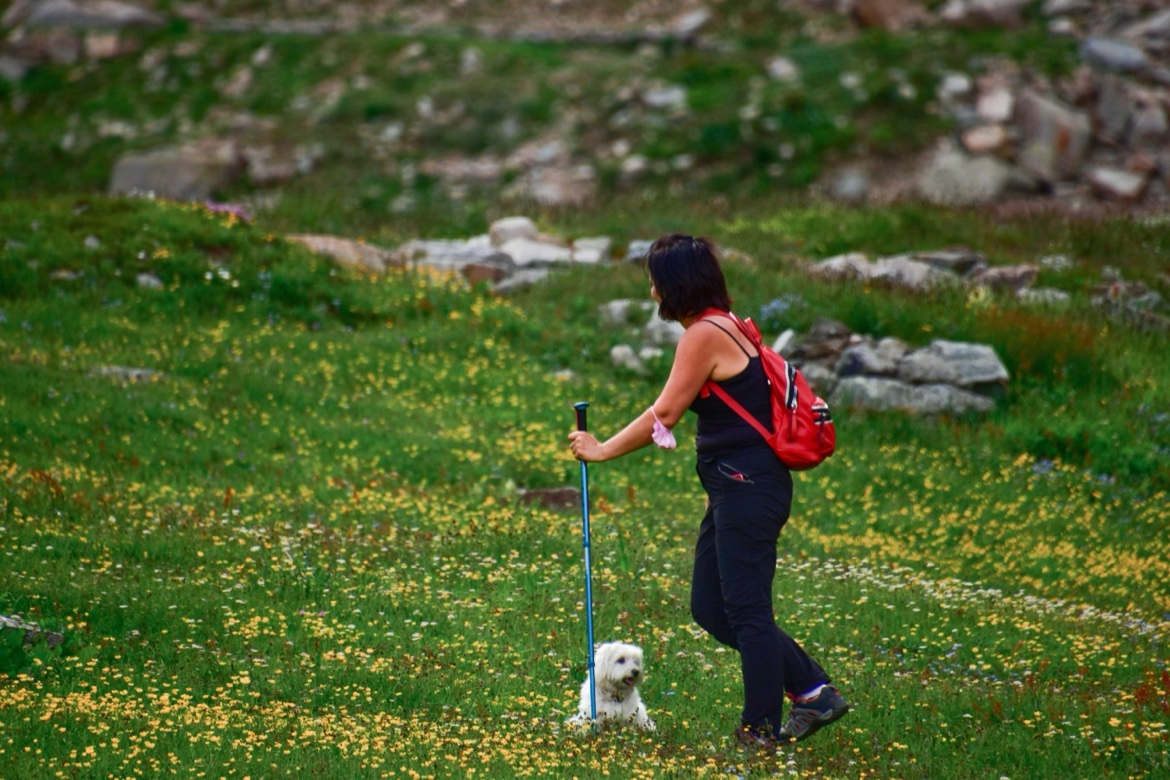 Turistka s trekovou holí a se psem na horské louce